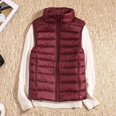 Harry | Winter Stylish Puffer Vest