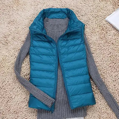 Harry | Winter Stylish Puffer Vest